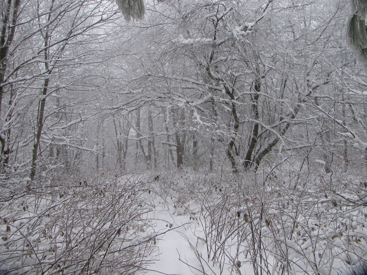 Descent from Campsite 13 None