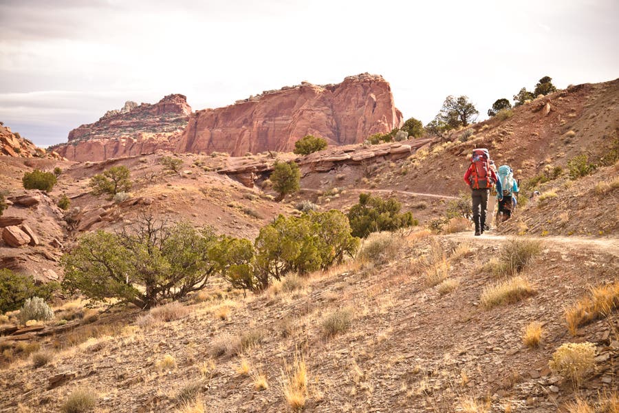 Descent into Chimney Rock Canyon None