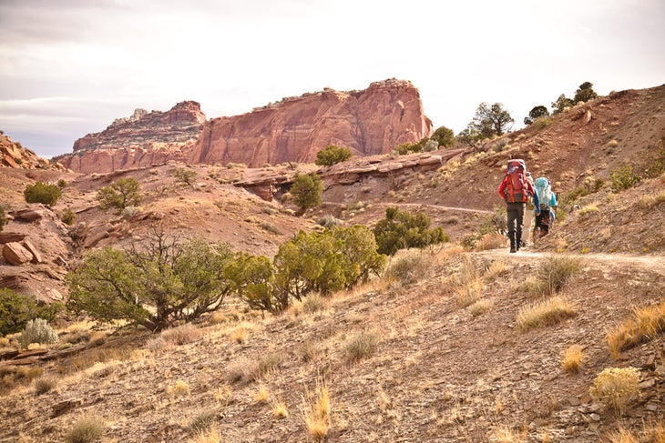 Capitol Reef National Park: Chimney Rock Canyon to Pleasant Creek