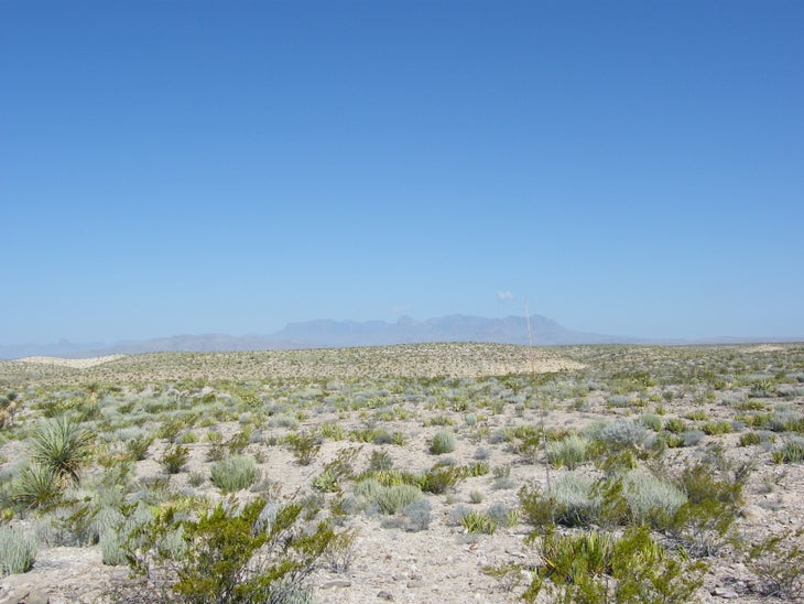Desert None