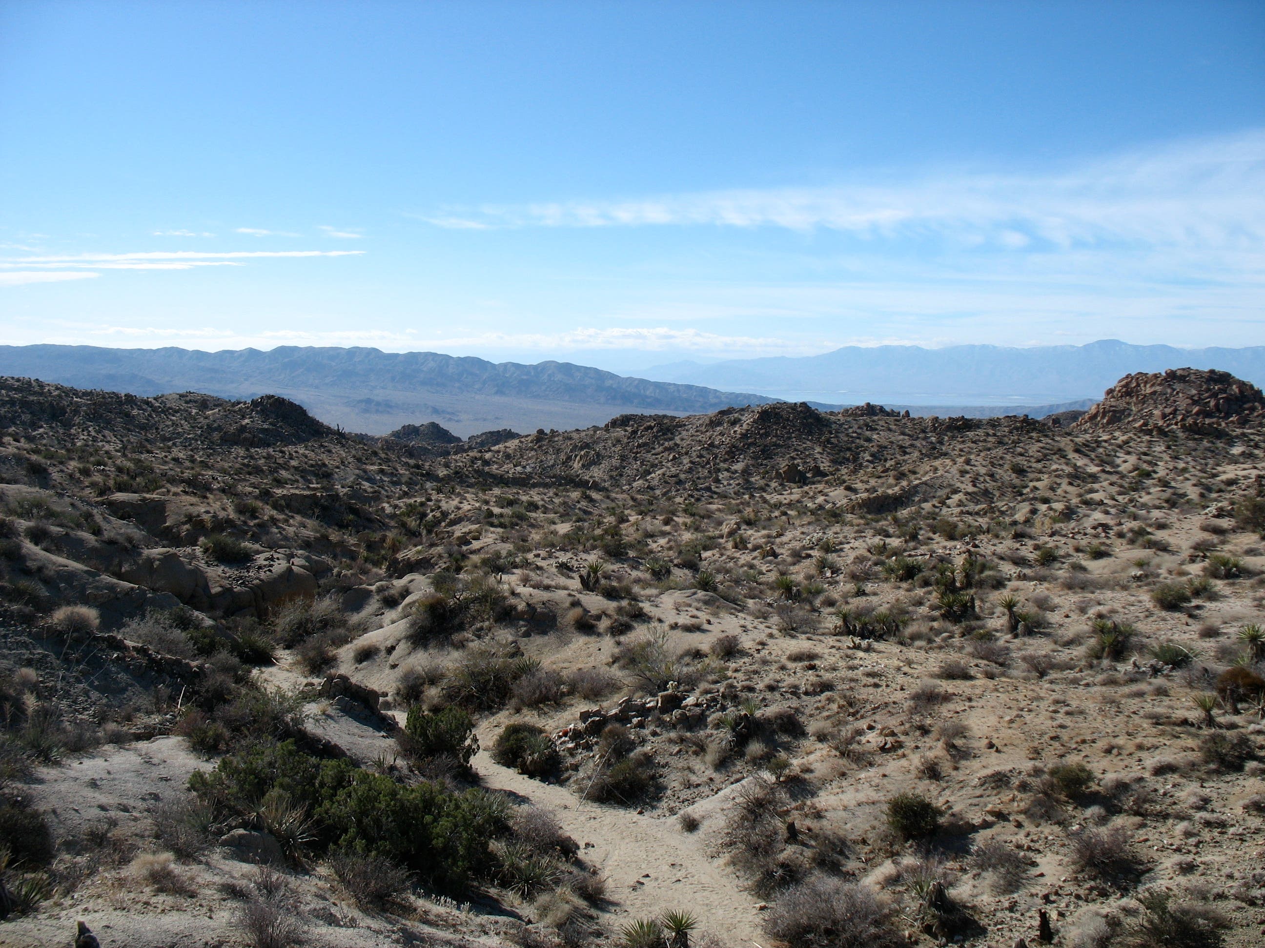 Desert and Mountain View None