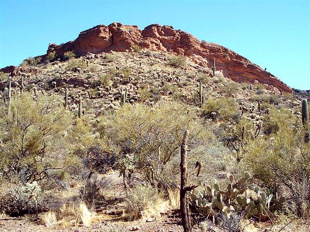Desert Landscape None
