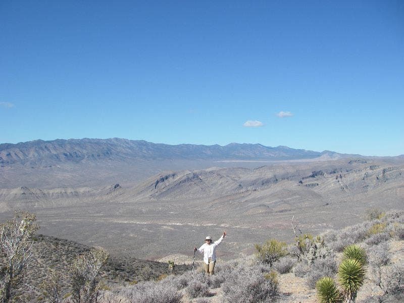 Desert National Wildlife Refuge None