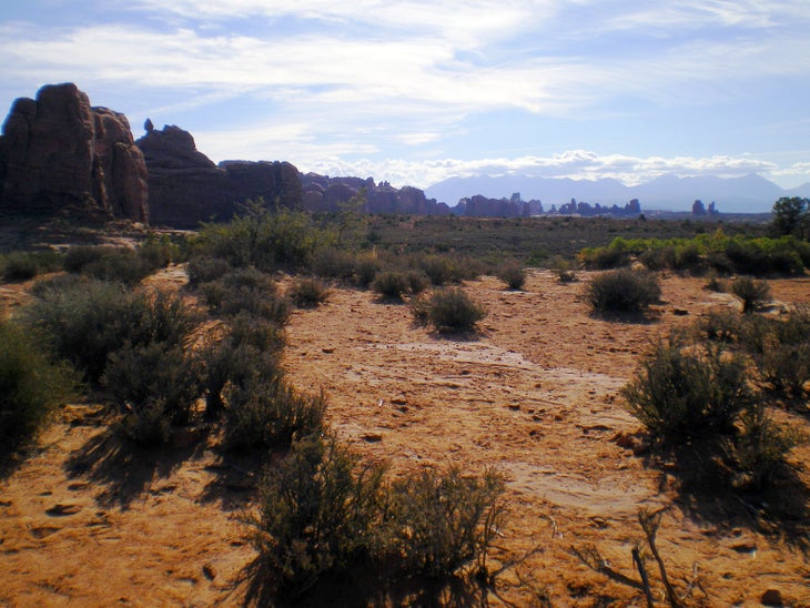 Desert Views None