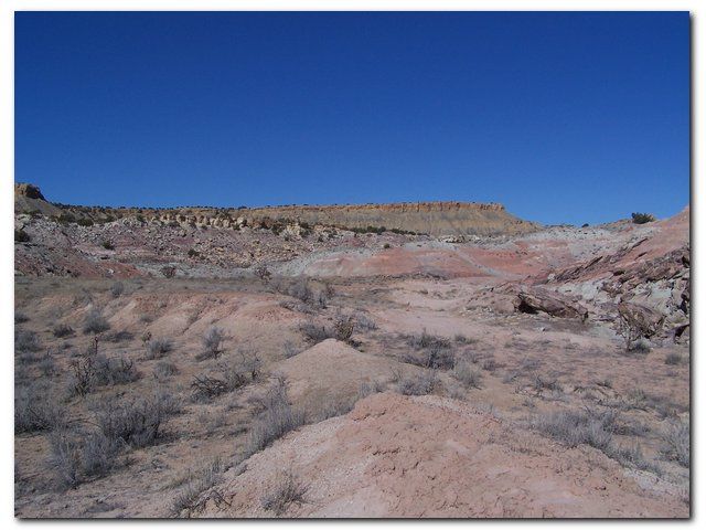 Desert None