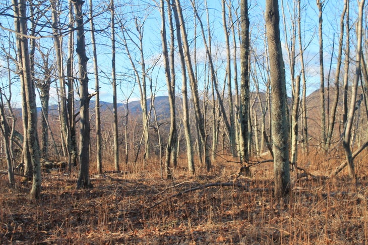 devil's path None