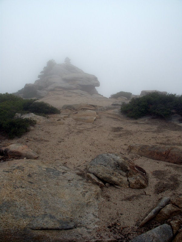 Dewey Point None