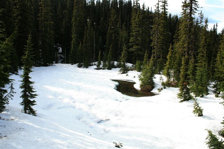 Diamond Lake None