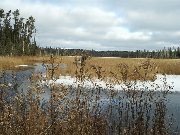 Diana Lake None