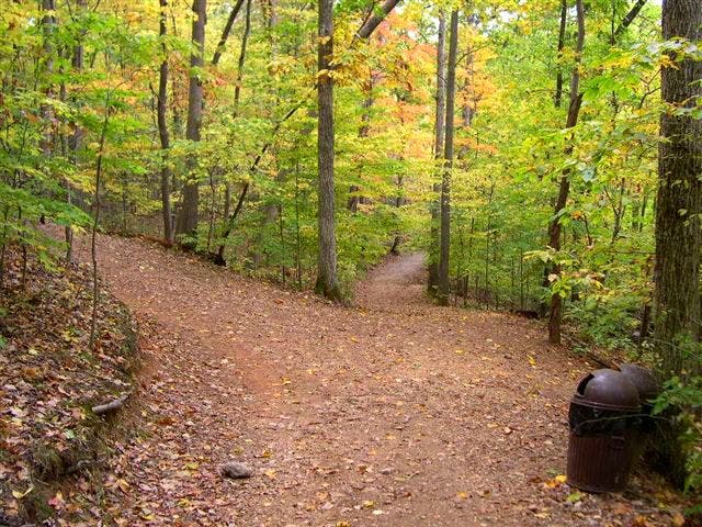 Difficult Run Trail Fork None