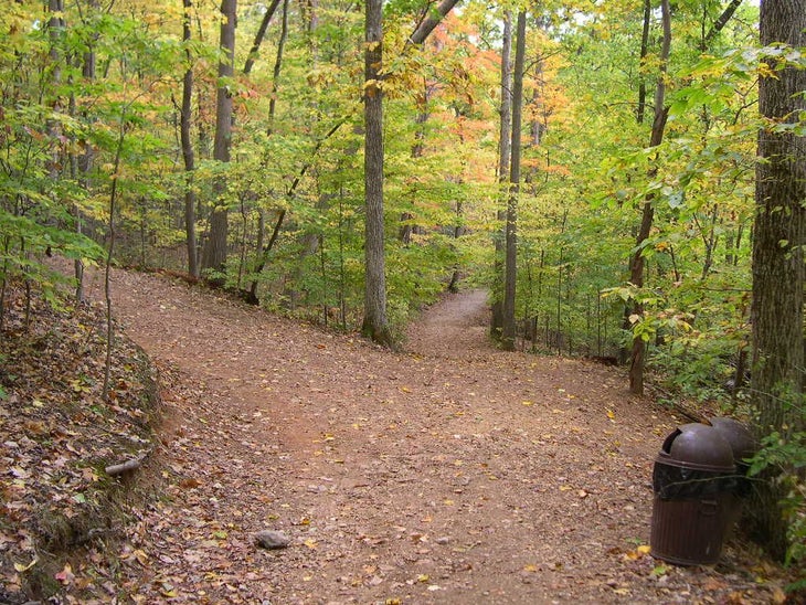 Difficult Run Trail Split None