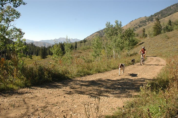 Dirt Road None