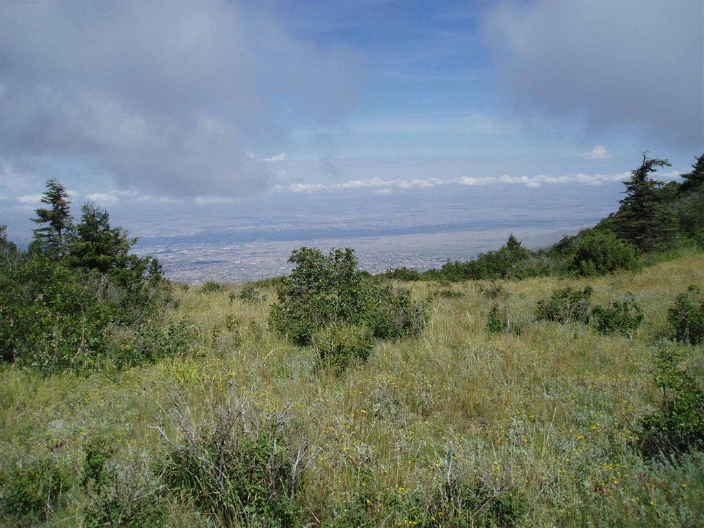 Distant City Views None