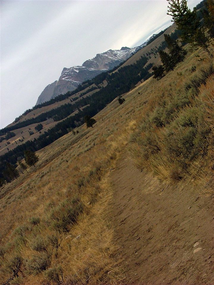 Distant Peak None