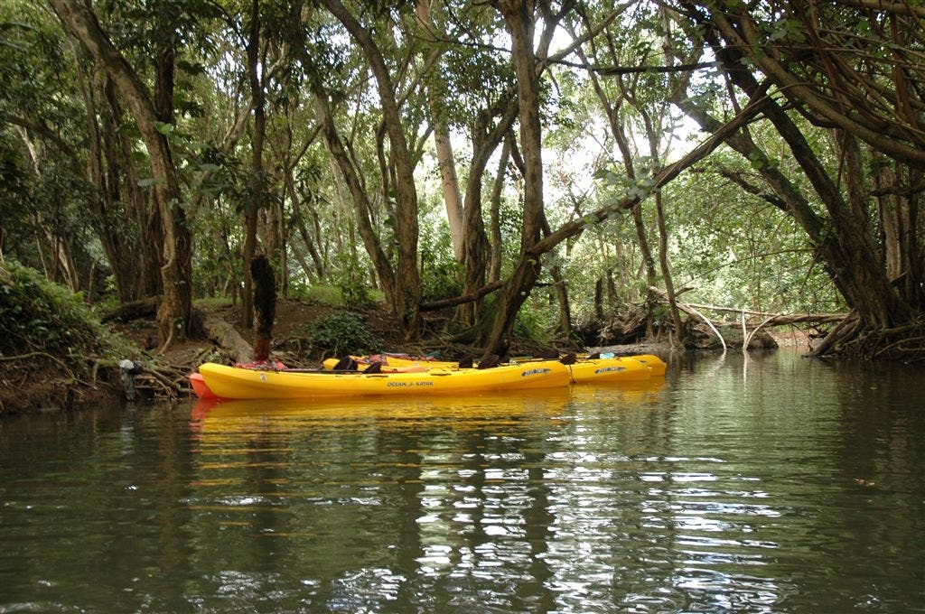 Docking the boats None