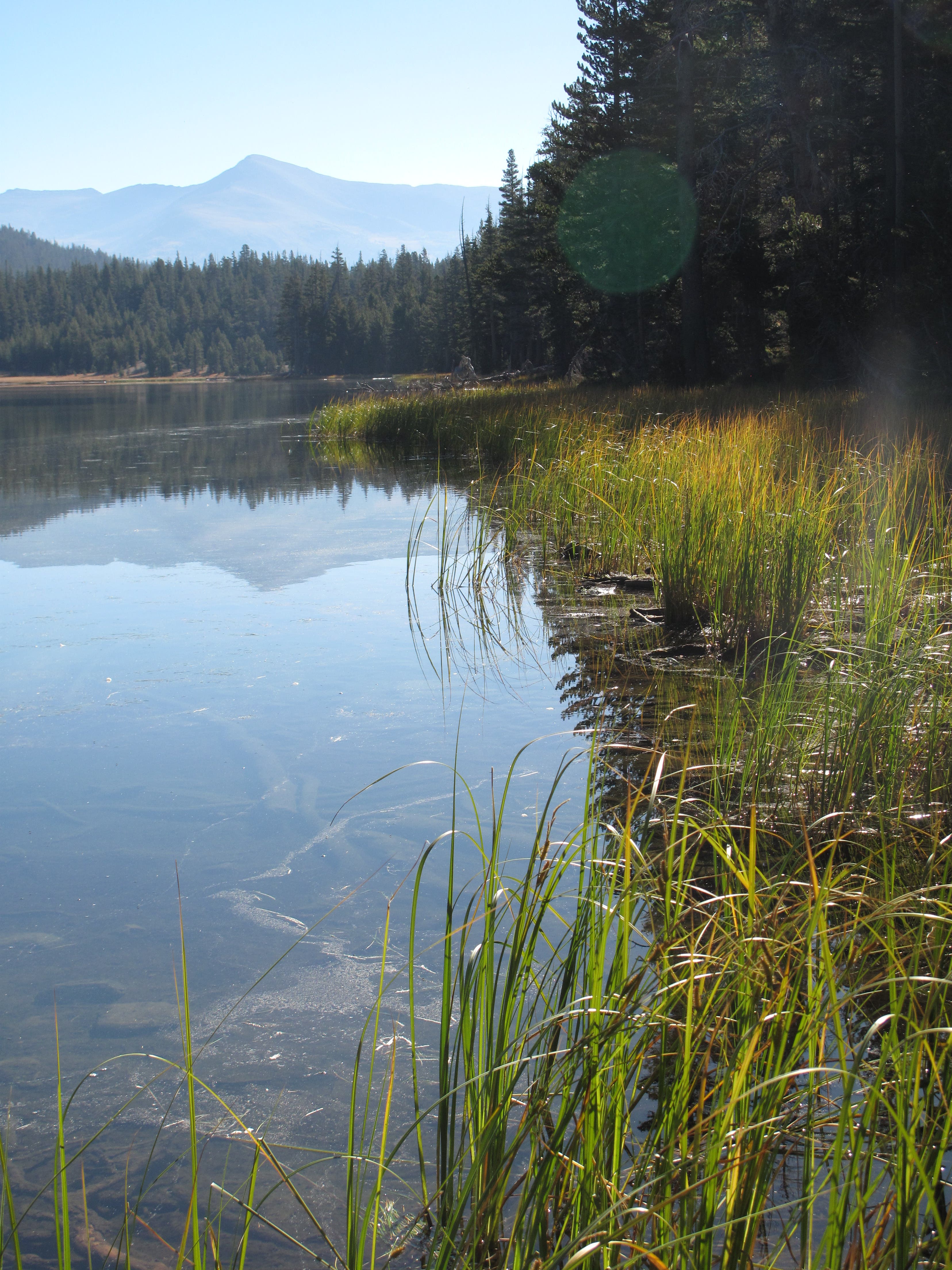 Dog Lake: Mount Dana View None