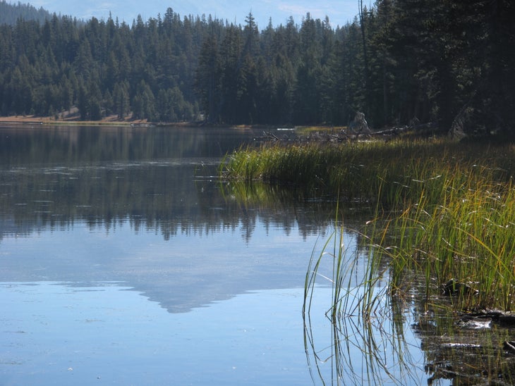 Dog Lake None