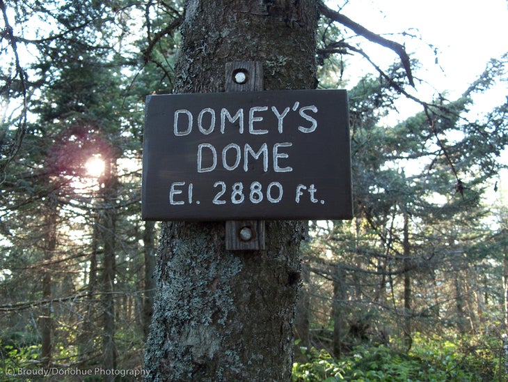 Domey's Dome None