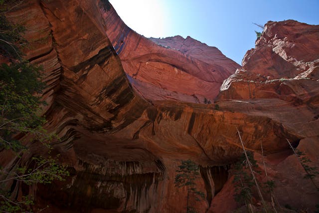 Double Arch Alcove None