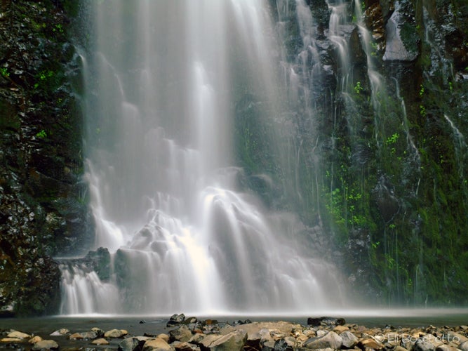 Double Cascade None