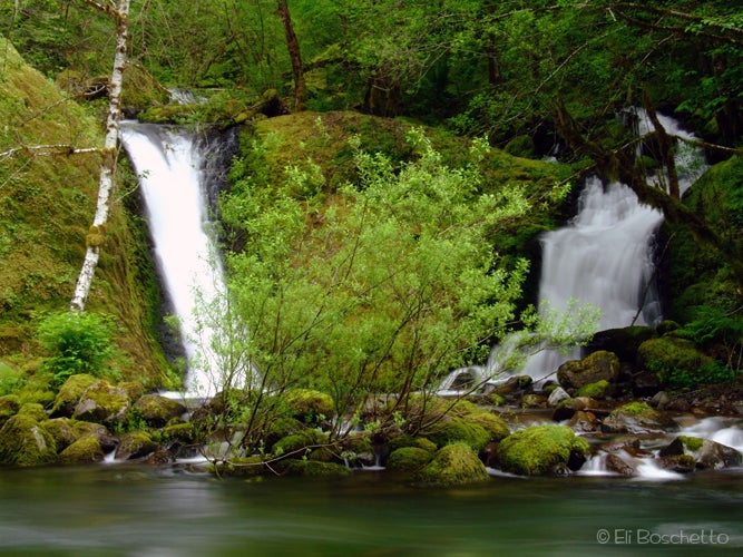 Double Falls None