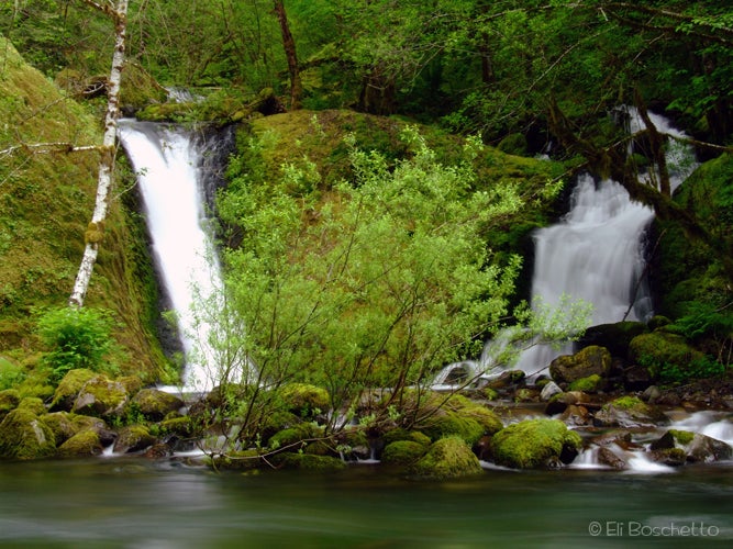 Twister Falls, Eagle Creek , Oregon [3648x5472][oc] : r/EarthPorn