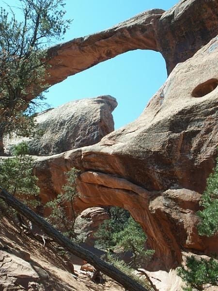 Double O Arch None