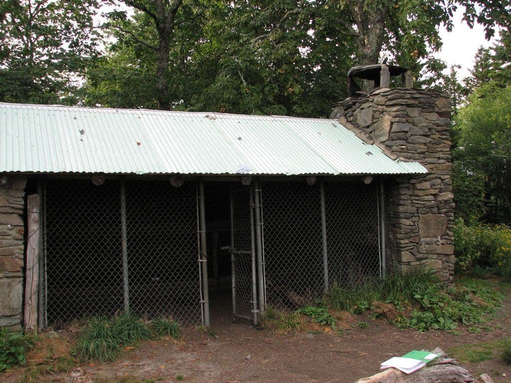 Double Spring Gap Shelter None