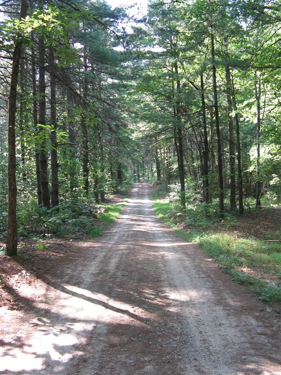 Doubletrack None