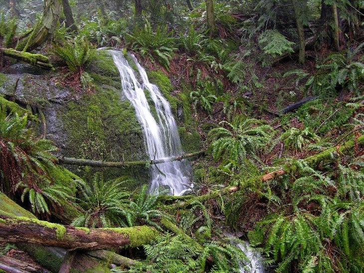 doughty falls None