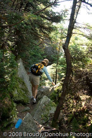 Down Scramble Ahead None