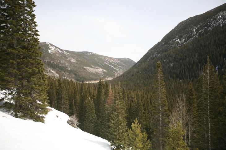 Down the Ravine None