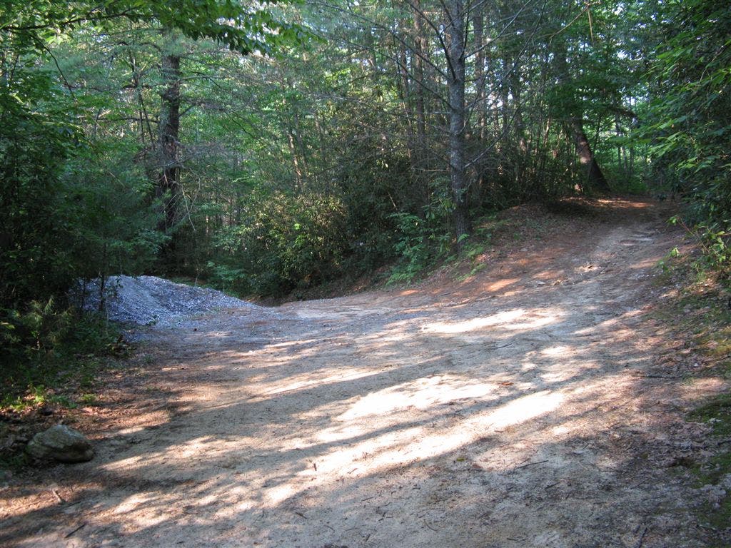 Down to the Shoals None