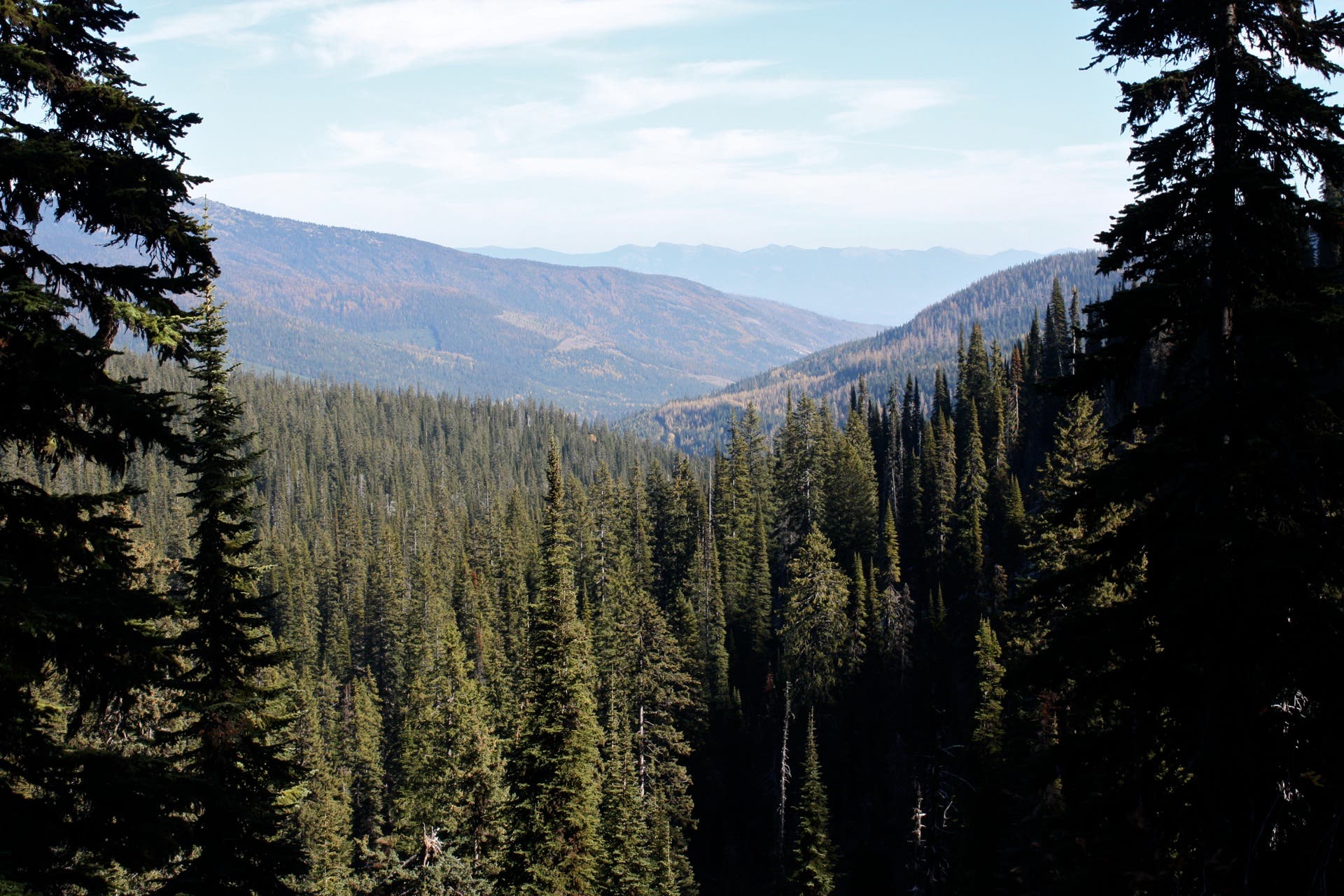 Down-Valley Vistas None