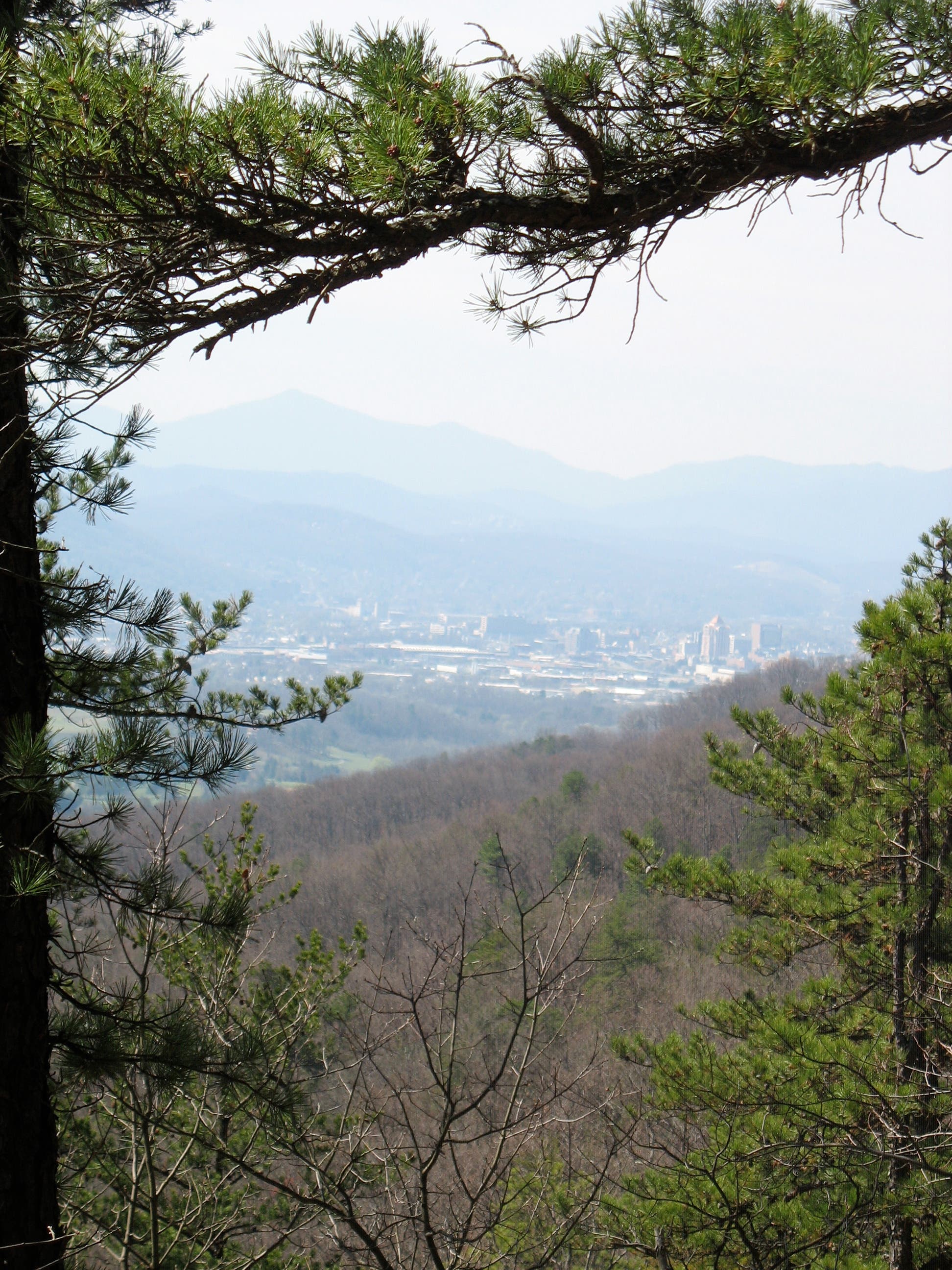 Downtown Roanoke None