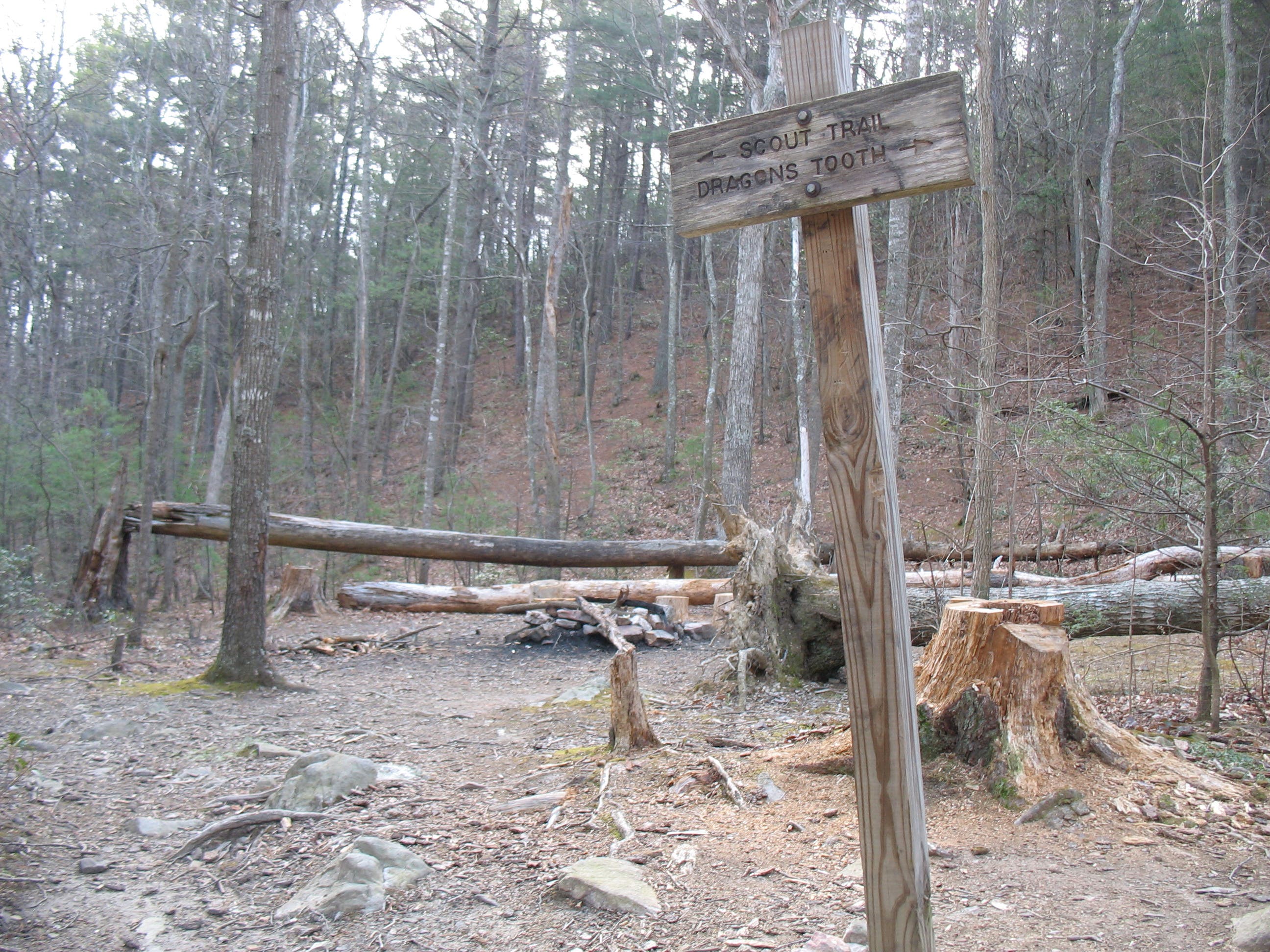 Dragon's Tooth and Boy Scout Connector Junction None