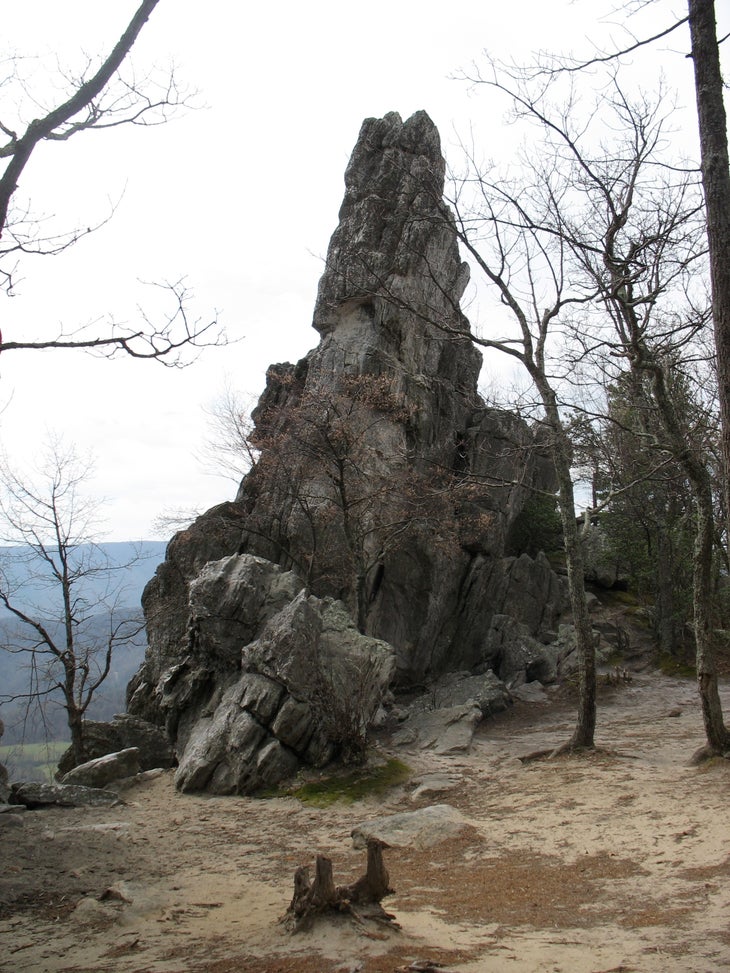 Dragon's Tooth None