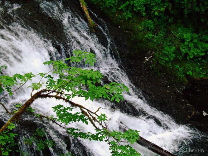 Drake Falls None