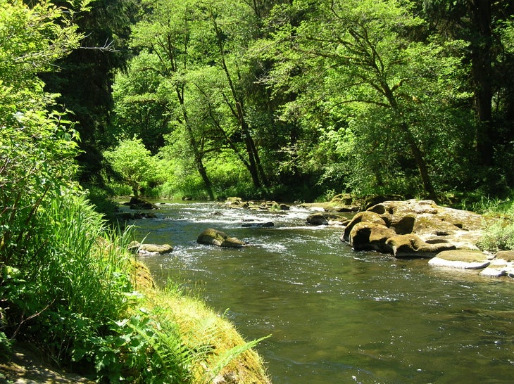 Drift Creek None