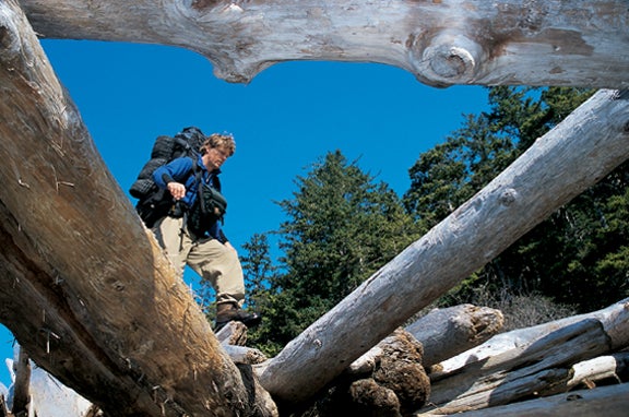 Driftwood None