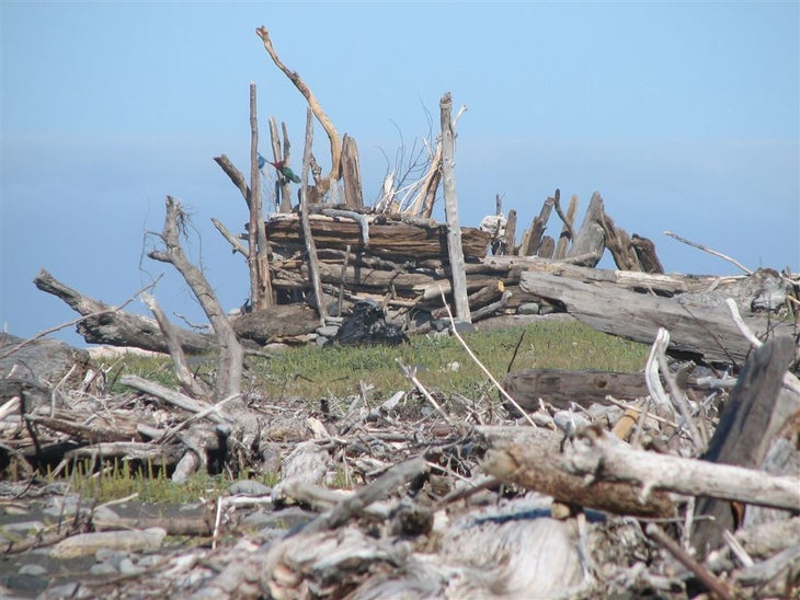 Driftwood Fortress None