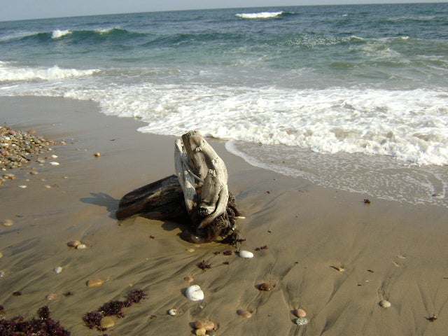 Driftwood None