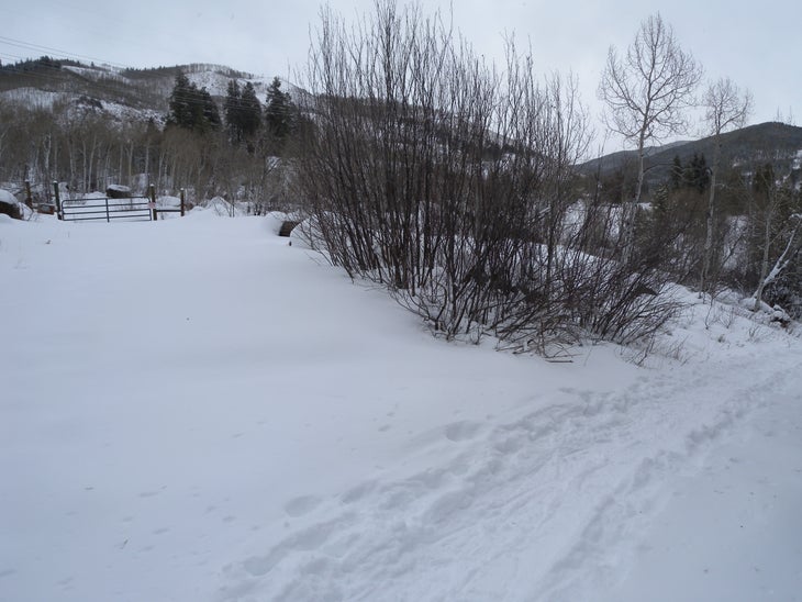 Driveway None