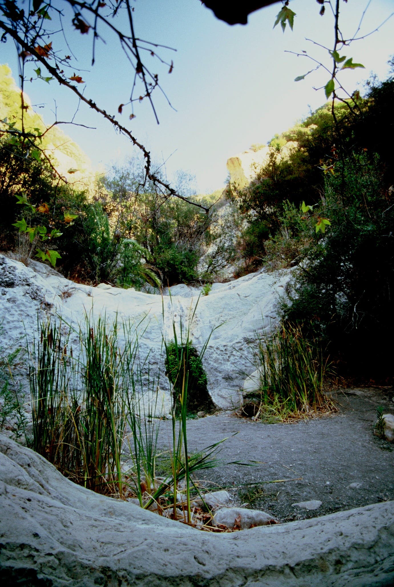 A dry creekbed used to hike up to Seven Falls in Santa Barbara. 