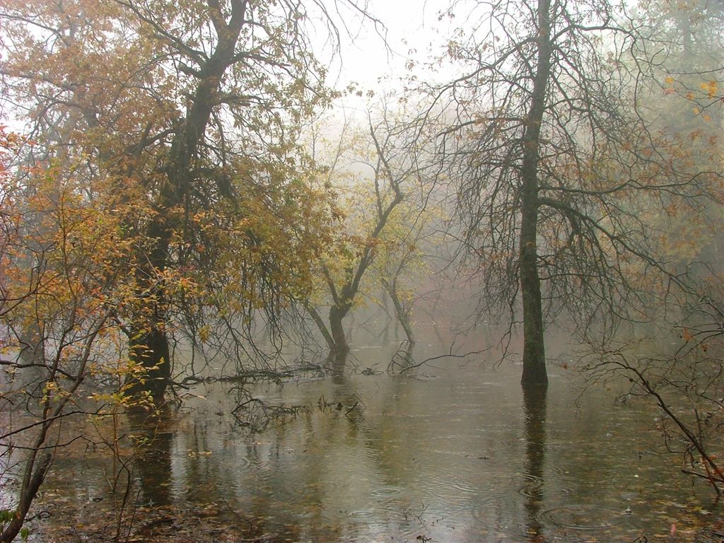 Appalachian Trail MillbrookBlairstown Road to Culvers Gap