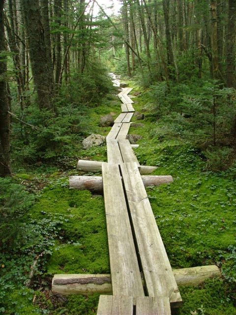 Appalachian Trail: Pinkham Notch Visitor Center to Hogan Road