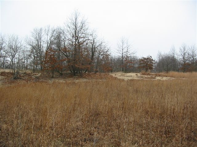 Dune Ridge None