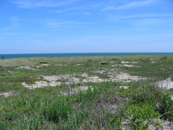 Dunes None