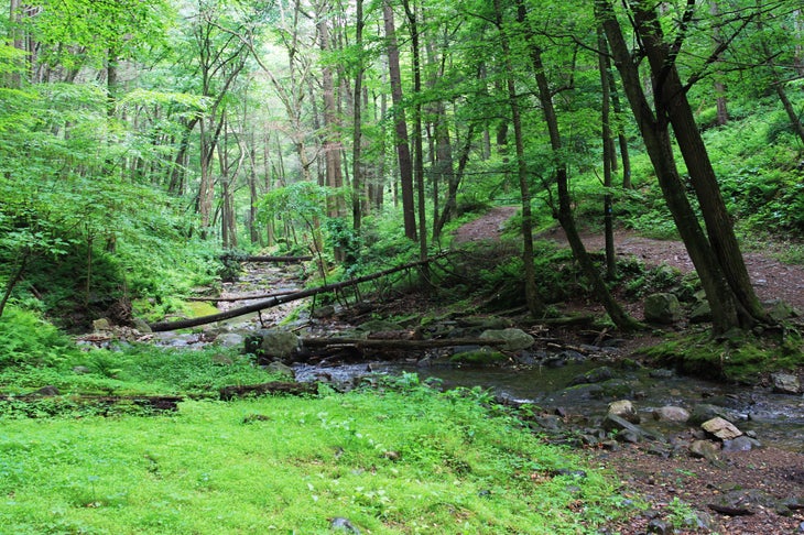 Delaware Water Gap National Recreation Area, NJ: Mount Tammany