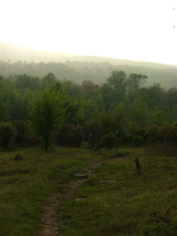 Dusk None